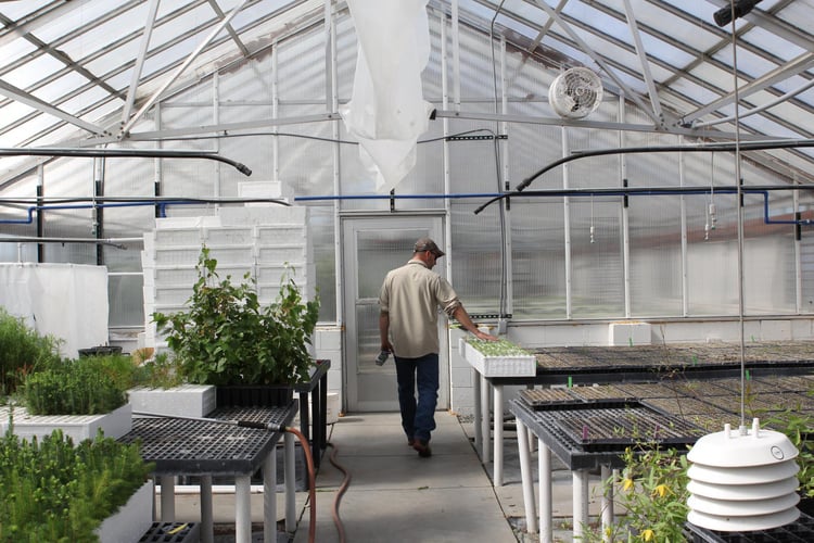 Bedrijf overlaten - tuinbouw