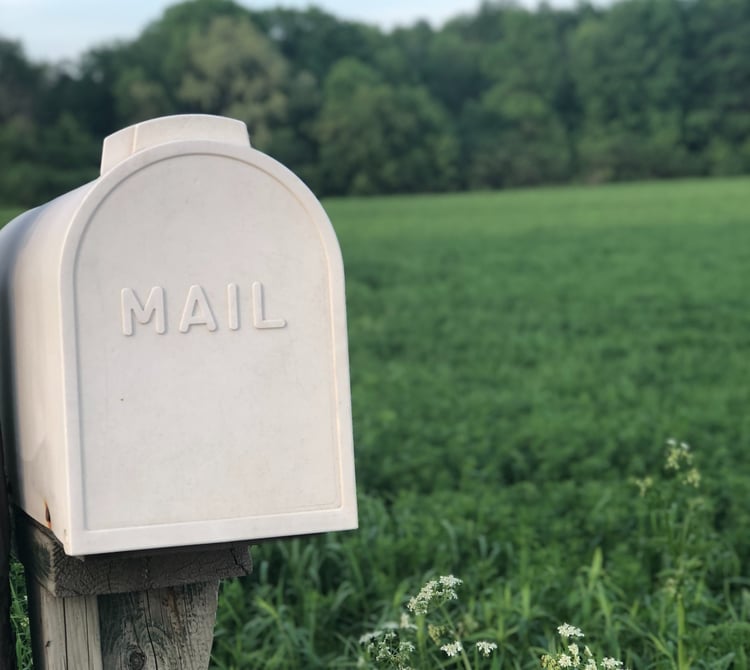 e-mail en website in de KBO