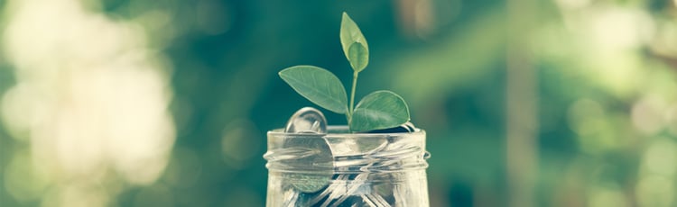 Mesures de soutien Wallonne